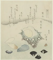 Lila skal, sötvattensmusslor och ett turbanskal Murasakigai shijimi sazae (titel på objekt) En serie skal (serietitel) Kaitsukushi (serietitel på objekt)