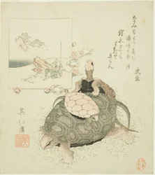 Sea turtles and Urashima Taro