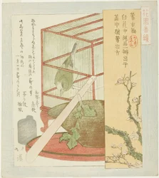 Sångare i bur, från serien "A Series for the Hanazono Group (Hanazono bantsuzuki)"