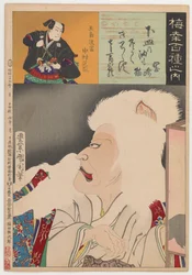 Katten från Okazaki (Okazaki Neko)