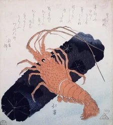Langoustine with a Block of Charcoal, c.1830 (träblockstryck i färg)