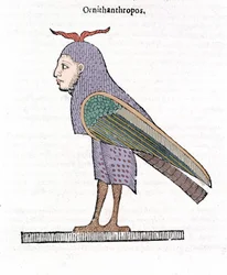 Ornithantropos. Fågel med mänskligt huvud. Ulisse Aldrovandi "Monstrens historia" Bologna 1642