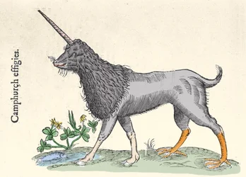 Representation av en camphurch, monster från Moluckerna Gravyr av Ulisse Aldrovandi (1522-1605), "Monstrorum Historiae", Bologna 1642