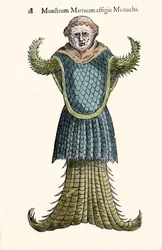 Havsmunken, den imaginära fisken och det marina monstret av Ulisse Aldrovandi (1522-1605), "Monstrorum Historiae", Bologna 1642