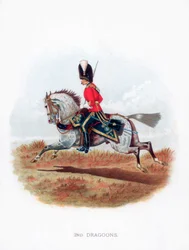 2nd Dragons, 1888