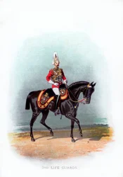 2:a livgardet, 1888