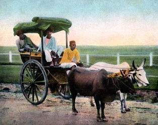 A Bombay reckla, Indien, tidigt 1900-tal