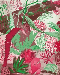 En samling av över femtio arter av röda, gröna och bruna sjögräs, 1935