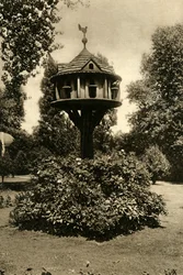Ett duvslag - i trädgården hos Dowager Marchioness of Bute, St. Johns Lodge, Regents Park, 1920.