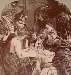 En förmögenhet i en tekopp, 1901