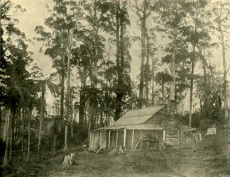 En rustik bostad, 1901.