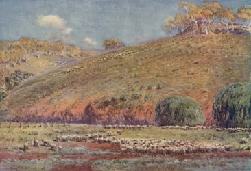 A Sheep-Run, 1923.