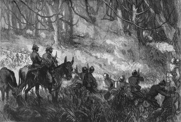 En skärmytsling i skogen, c1880