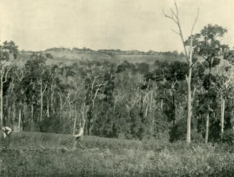 En viktoriansk bergsgård, 1901.