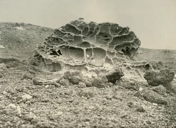 A Weathered Kenyte Boulder Near the Winter Quarters, c1908, 1909.