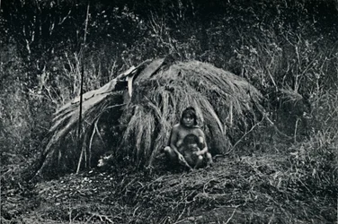 En Yaghan Hut i Fuegia, 1911