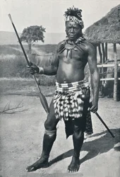 En zuluhövding, 1902