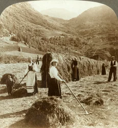 En bondefamilj som gör hö i ett soligt fält mellan bergen, Roldal, Norge, c1905.