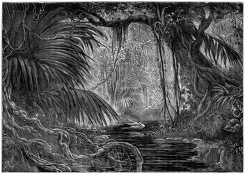 En skogsscen i Peru, 1877