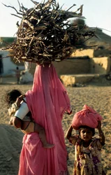 En lokal trähuggarfamilj från en by i Rajasthan. Rajasthan, Indien. 25 februari 2005. (foto)