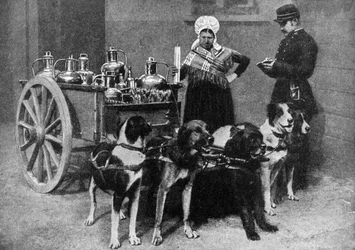 En mjölkkvinna med en statlig inspektör, Belgien, 1922