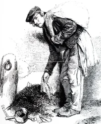 En lerlärka