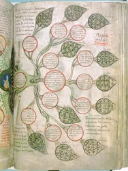 En sida från Liber Floridus, 1100-talet