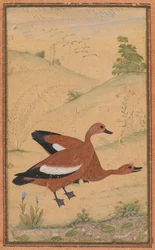 Ett par Brahminy ankor, ca. 1595, gränser tillkom troligen 1800-tal.