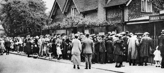 En kö till djurparken på en nationell helgdag, London, 1926-1927