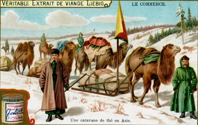 En tekaravan i Asien, c1900