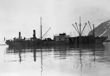 En valfångare, Magdalene Bay, Spitzbergen, Norge, 1929
