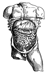 Bukhålan och dess innehåll, 1543