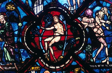 Adam i Eden, målat glas, Chartres katedral, Frankrike, 1205-1215