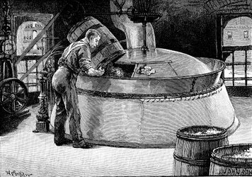 Tillsätter humle till kokande öl i ett amerikanskt bryggeri, 1885