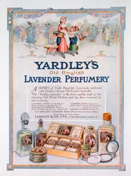Annons för Yardleys Old English Lavender parfymeri, 1923