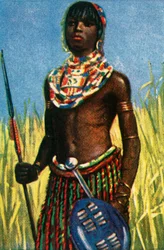 Afrikansk krigare, c1928.