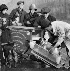 Ambulans av Dispensary for Sick Animals of the Poor, London, 1926-1927