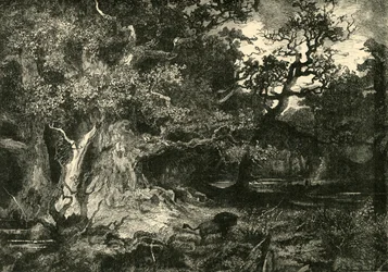 En gammal tysk skog, 1890.