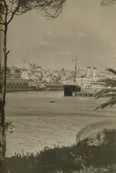 En Orient Liner förtöjd i Woolloomooloo Bay, 1937