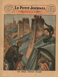 En förrymd schimpans, 1930.