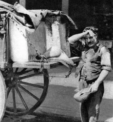 En isman med sin vagn, London, 1926-1927