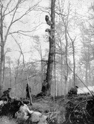 En observationsplats, 1915