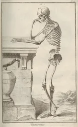 Anatomi. Ur Encyclopédie av Denis Diderot och Jean Le Rond dAlembert, 1751-1765.
