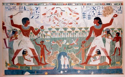 Forntida egyptier jagar vildfågel med kastpinnar