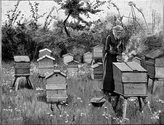 Bikupa av trä, Lismore, Irland, 1890
