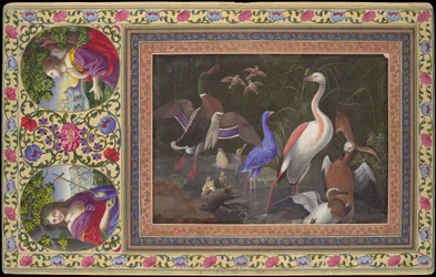 Aquatic Birds at a Pool, Folio från Davis Album, 1700-talet.