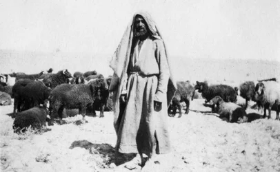 Arabisk herde, Kazimain-området, Irak, 1917-1919