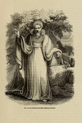 Arch-Druid i sin fullständiga rättsliga kostym Från boken Old England: A Pictorial Museum, 1845