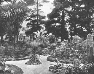 Arizona Garden, Monterey, Kalifornien, USA, c1900.