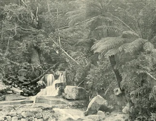 Vid St. Crispins Well, 1901.